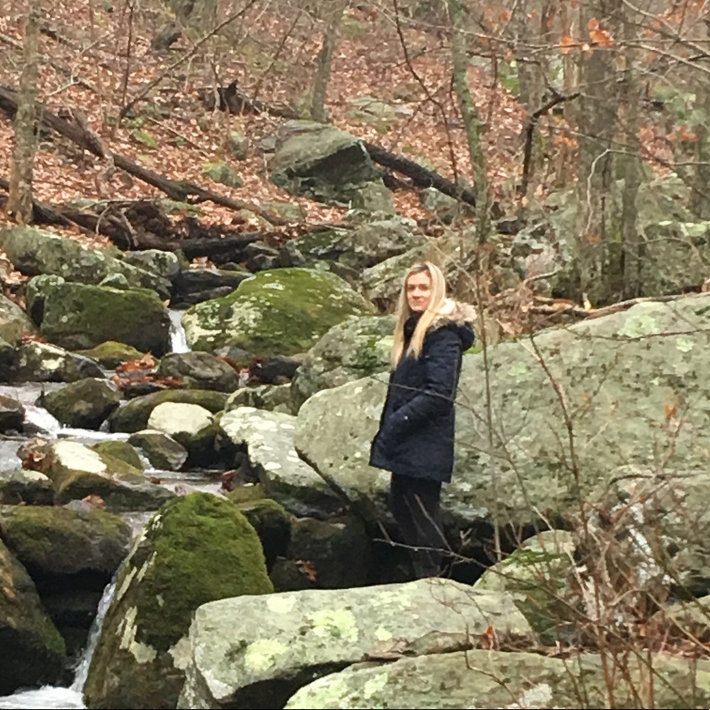 Down Winter Jacket - image 1